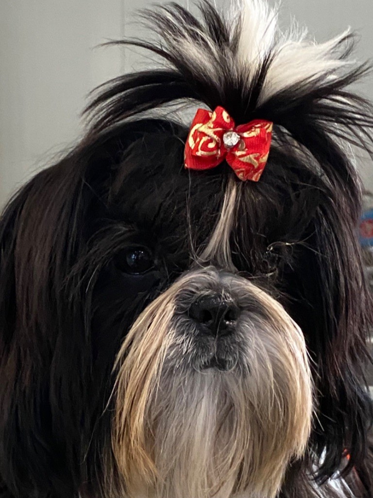 A little boy des Matins Du Pech